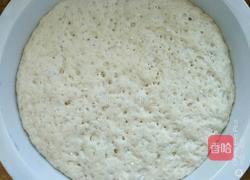 牛肉胡萝卜包子的做法图解2