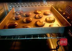 三色曲奇的做法图解16