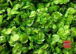 蒸榆钱子的做法图解1