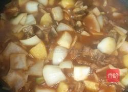 红烩牛腩的做法图解6