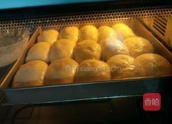 不用揉面的懒人版面包的做法图解13