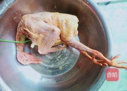 盐焗鸽子的做法图解1