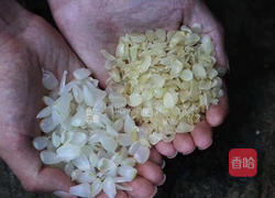 桂花皂角米桃胶银耳羹的做法图解5