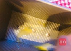 浓情布朗尼蛋糕的做法图解11