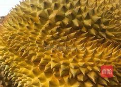 自制网红榴莲饼的做法图解1