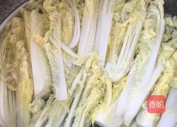 蒜蓉粉丝娃娃菜的做法图解2