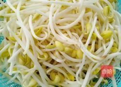 香辣黄豆芽的做法图解1