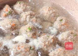 营养菜蔬搭配牛肉丸的做法图解10