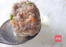 营养菜蔬搭配牛肉丸的做法图解11