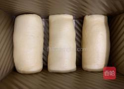 椰子油提子吐司(一次发酵)的做法图解10