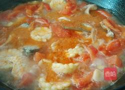 玉米番茄鱼的做法图解10