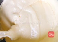 酸奶菠萝肉松蛋糕卷(无沙拉酱低卡)的做法图解11