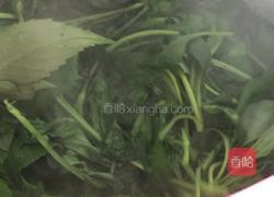 炒孟菜的做法图解6