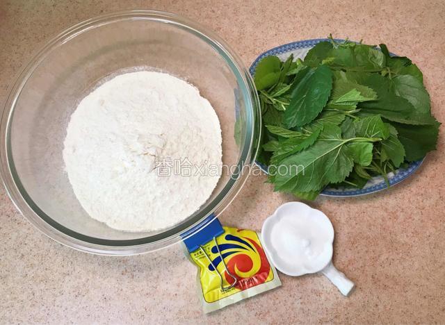 准备主要食材，桑叶可以釆嫩叶也可以釆嫩芽。