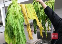 自制酸菜的做法图解1