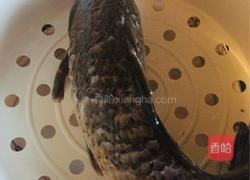 家菜泡椒鲫鱼的做法图解1