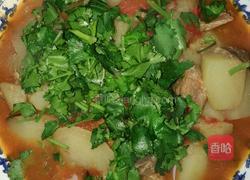 西红柿土豆炖牛腩的做法图解8