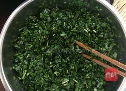 韭菜鸡蛋虾皮饼的做法图解2