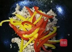 双色椒炒猪肉的做法图解10