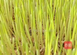 自制麦芽糖的做法图解3