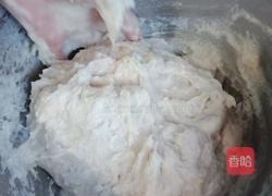 手工鱼圆的做法图解13