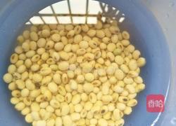 黄豆菜干猪骨汤的做法图解3