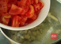 苹果番茄牛肉汤的做法图解7
