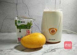 芒果奶昔的做法图解1