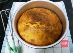 酸牛奶蛋糕的做法图解16