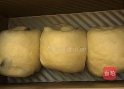 芝麻提子吐司的做法图解7