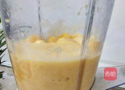 原汁原味凤梨汁的做法图解5