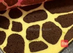 巧克力蛋糕卷的做法图解11