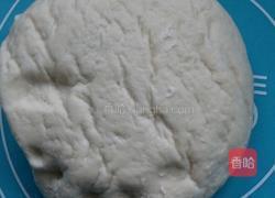 披萨(家庭简易版)的做法图解3