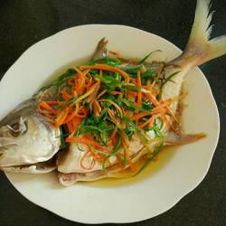 清蒸金昌鱼的做法[图]