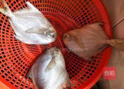 红烧鲳鱼的做法图解1