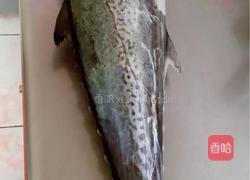 蒜台炖鲅鱼的做法图解1