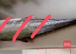 蒜台炖鲅鱼的做法图解3