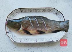 红烧丁鲑鱼的做法图解3