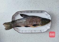 红烧丁鲑鱼的做法图解2