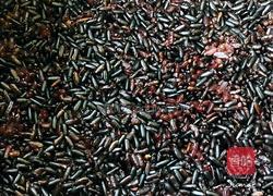 椰浆黑米饭的做法图解4