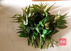 椿芽儿炒鹅蛋的做法图解1