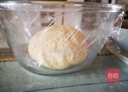 葱香鲜肉包子的做法图解4