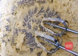 蔓越莓饼干的做法图解6