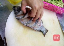 家常糖醋鱼的做法图解2