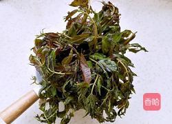 香椿肉酱拌面的做法图解2