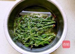 香椿肉酱拌面的做法图解4