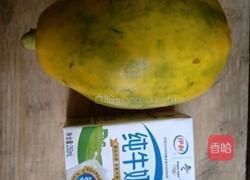 牛奶炖木瓜的做法图解1