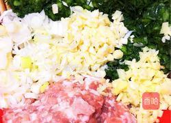 茴香饺子馅的做法图解4