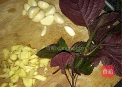 香辣小龙虾的做法图解4