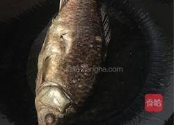 鯽魚燉豆腐粉條的做法圖解3